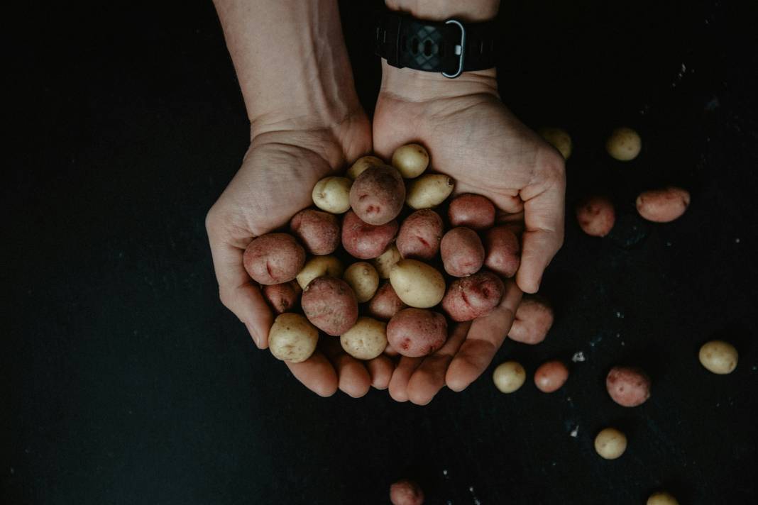 Patates yemeden önce bilmeniz gereken 25 gerçek 16