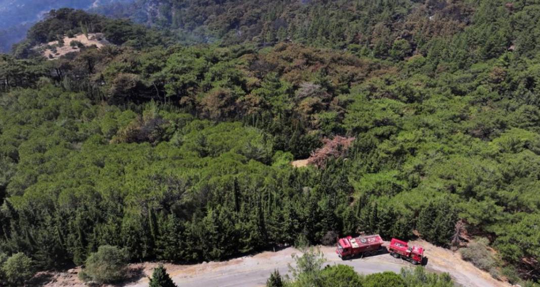 3 ildeki yangının arkasında bıraktığı manzaralar yürek yaktı. Binlerce ağaç küle döndü 27