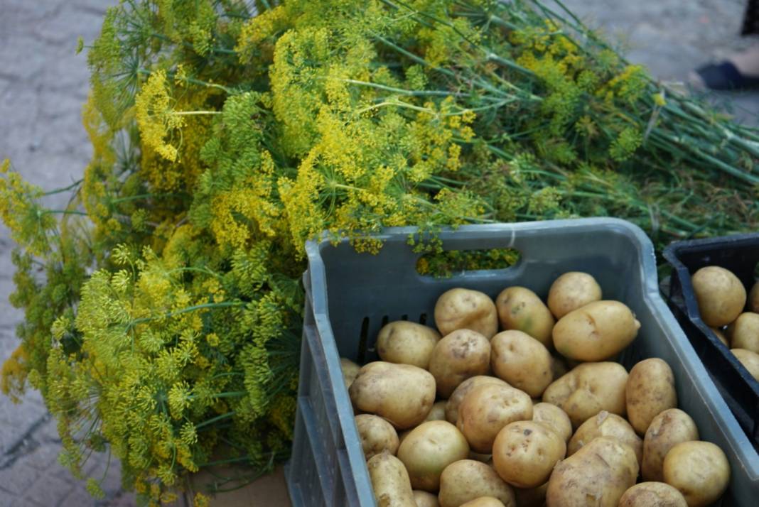 Patates yemeden önce bilmeniz gereken 25 gerçek 14