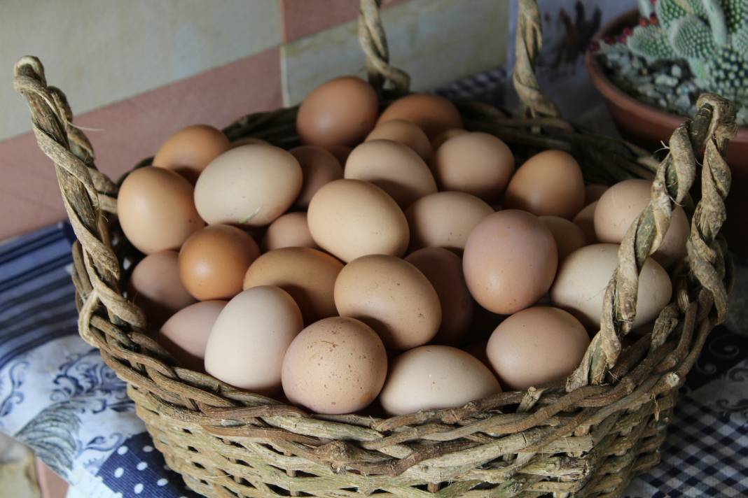 Yumurta yemeden önce bilmeniz gereken 25 gerçek 3