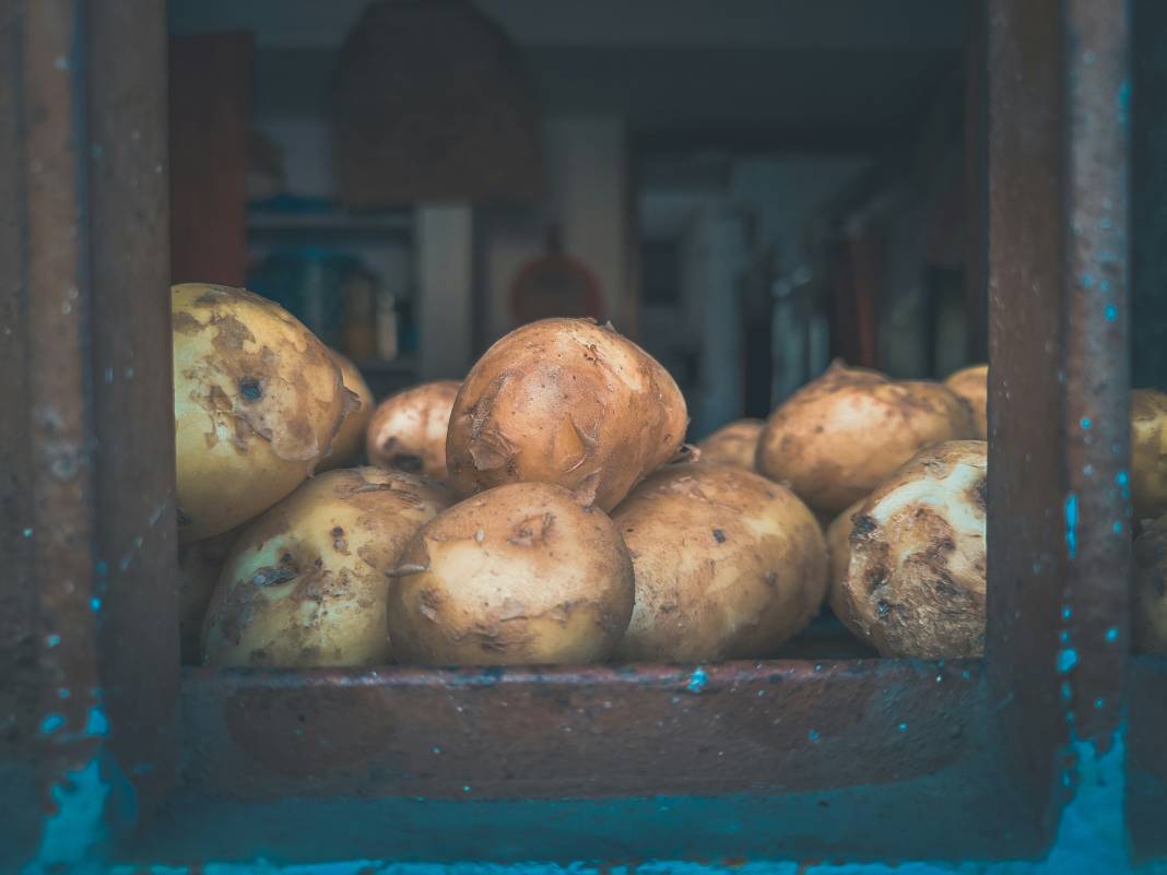 Patates yemeden önce bilmeniz gereken 25 gerçek 10