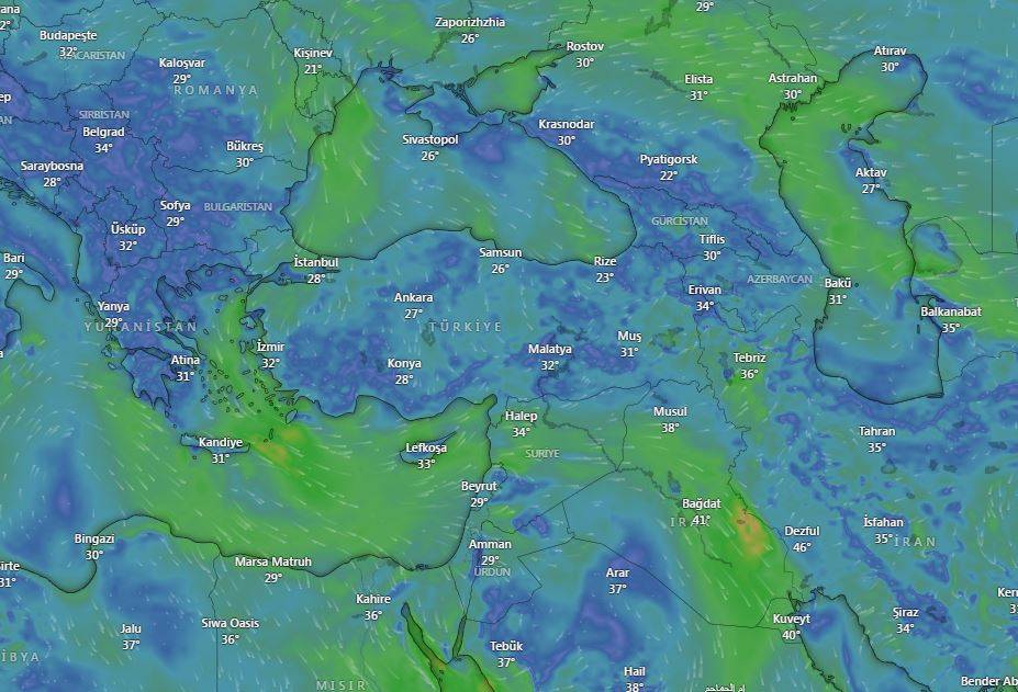 Doğu Karadeniz'de ‘sağanak’ alarmı: 4 il için sarı kodlu uyarı 20