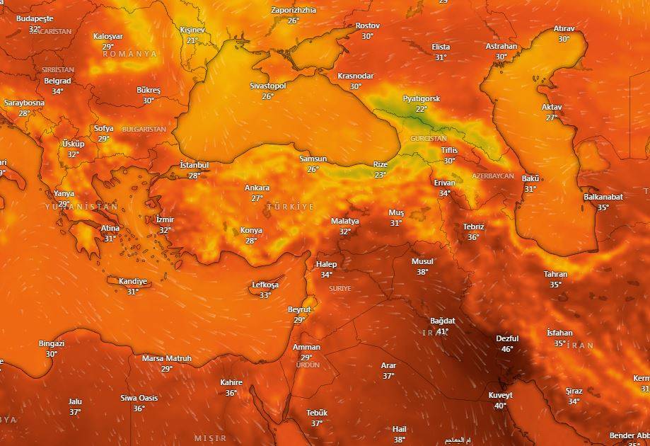 Doğu Karadeniz'de ‘sağanak’ alarmı: 4 il için sarı kodlu uyarı 15