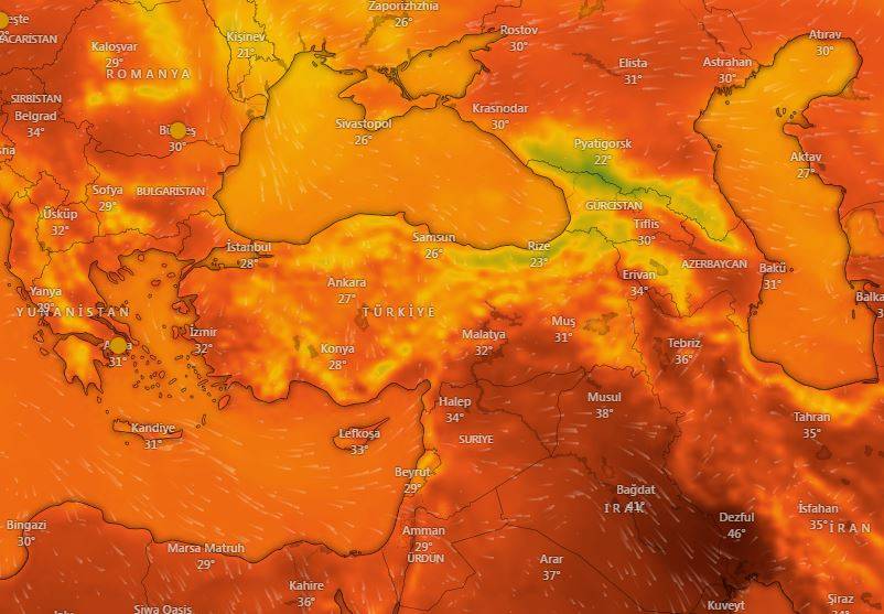 Doğu Karadeniz'de ‘sağanak’ alarmı: 4 il için sarı kodlu uyarı 14