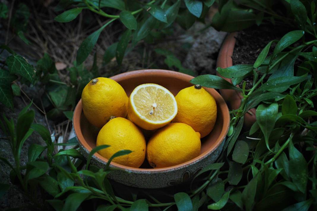 Limon yemeden önce bilmeniz gereken 25 gerçek 21