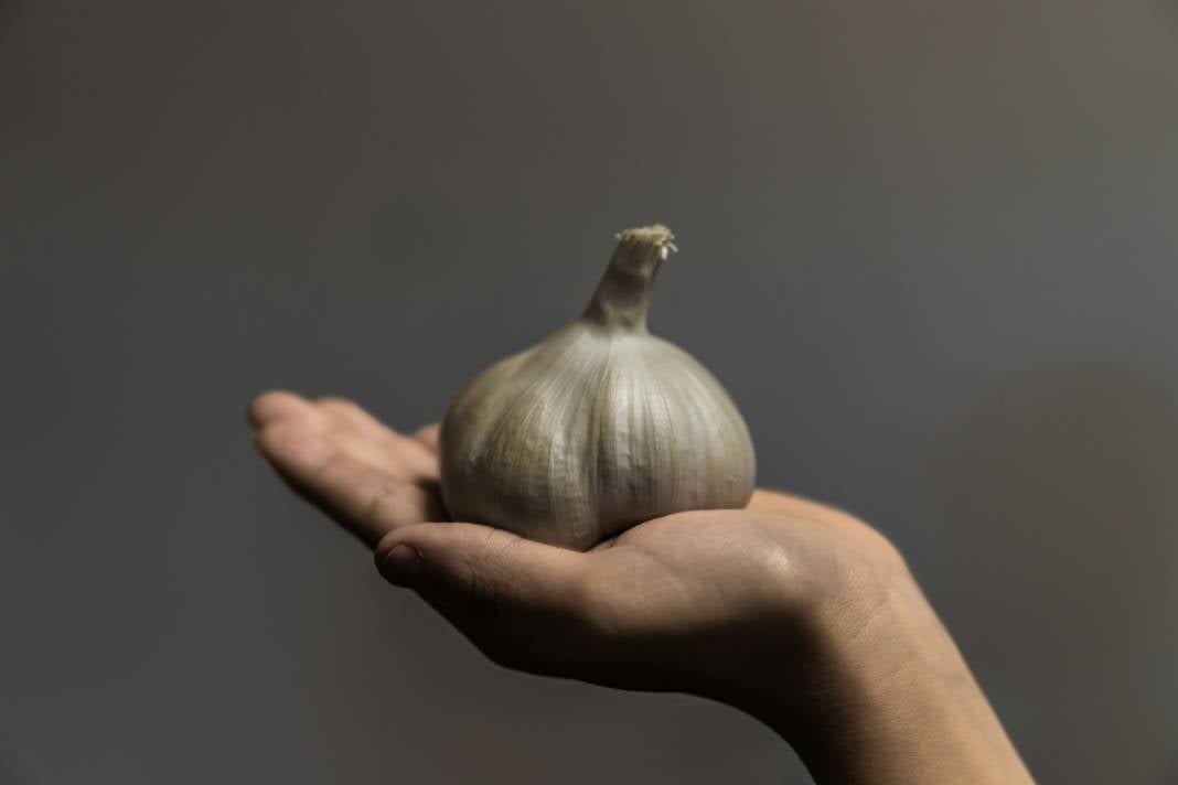 Sarımsak yemeden önce bilmeniz gereken 30 gerçek 28