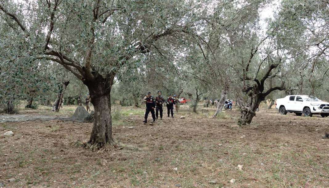 Jandarmadan gece gündüz zeytin nöbeti. Havadan karadan denetliyorlar 1