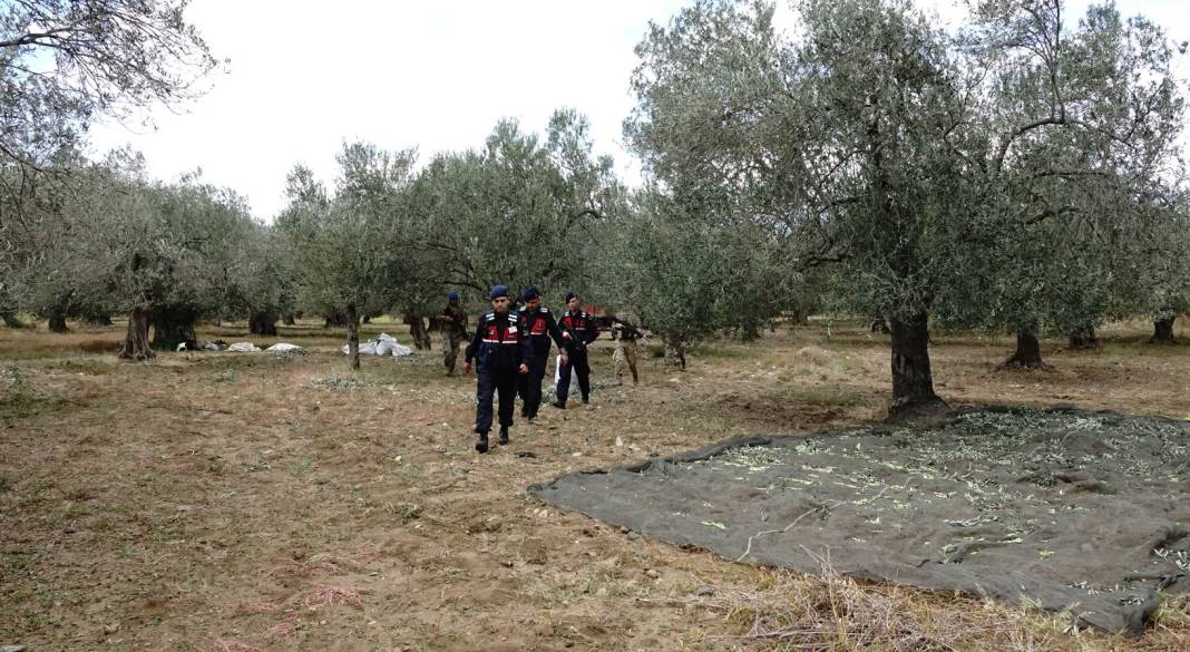 Jandarmadan gece gündüz zeytin nöbeti. Havadan karadan denetliyorlar 2