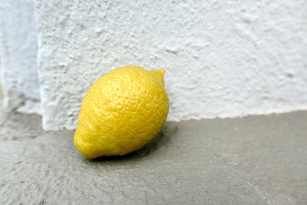 Limon ile hijyen sağlamanın 7 yolu 5