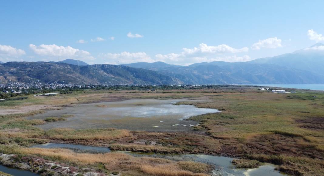 Hatay'daki Milleyha Sulak Alanı'nda bu yıl 12 yeni kuş türü gözlendi 4