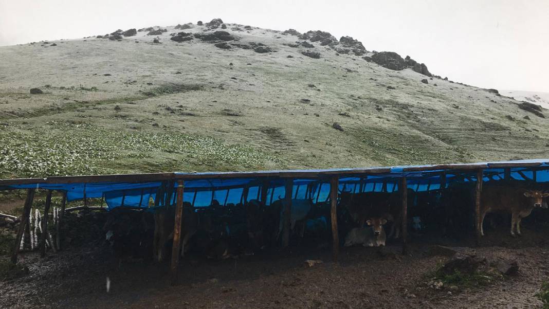 Trabzon, Rize, Erzurum... Yaz ortasında beyaza büründü 3