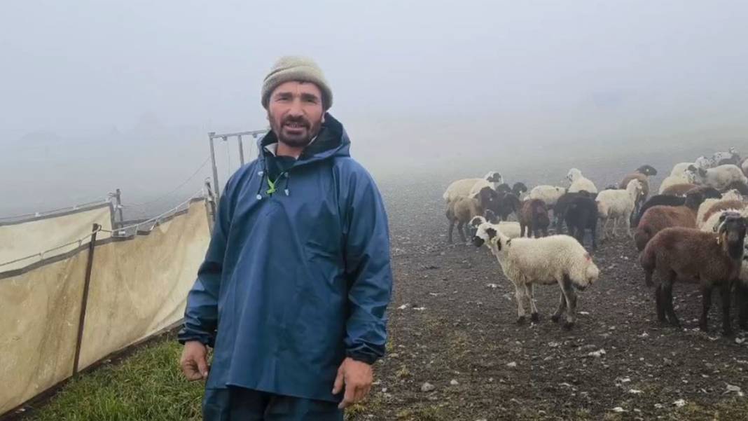 Trabzon, Rize, Erzurum... Yaz ortasında beyaza büründü 5