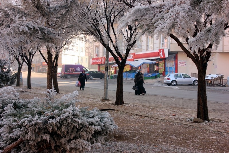 Yozgat'ta soğuk hava 2