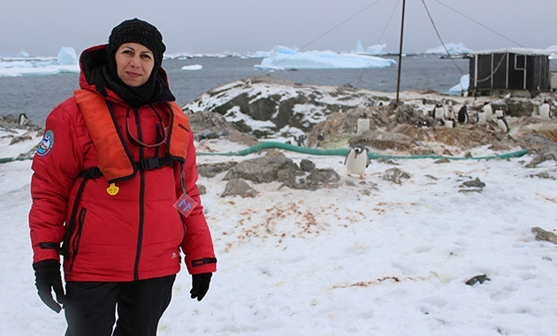 Türk bilim insanları Antarktika’daki çalışmalarını tamamladı 3