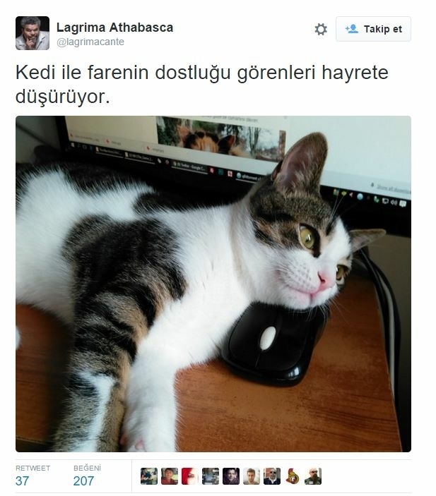 Sosyal medyanın tozunu attıran muhteşem tweetler 31