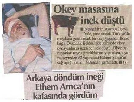 "Başka ülkede yaşayamam" dedirten 21 olay 16