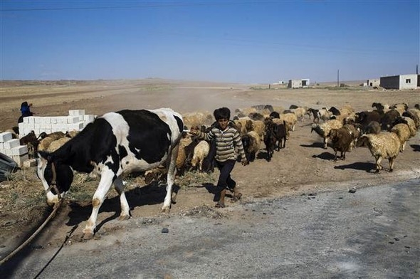 IŞİD, Türkiye sınırından böyle temizlendi! 16