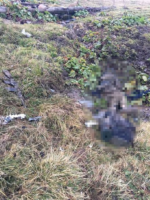 6 PKK'lı öldürüldü! Asker böyle karşılandı 18