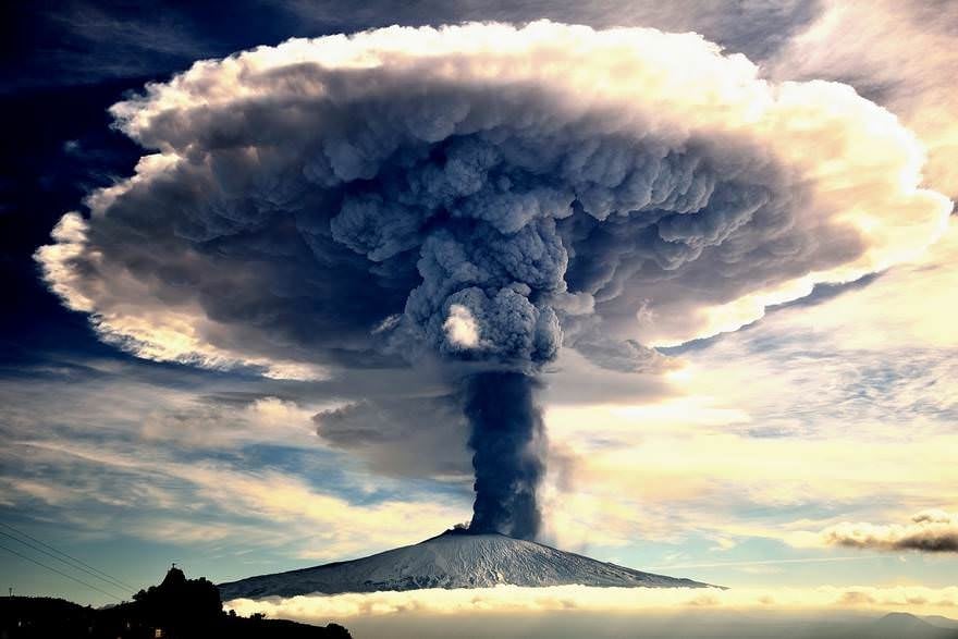 2016'nın ödüllü fotoğrafları 4