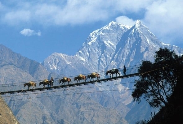 120 yıl yaşayan Hunza Türkleri'nin yaşam sırrı! 3