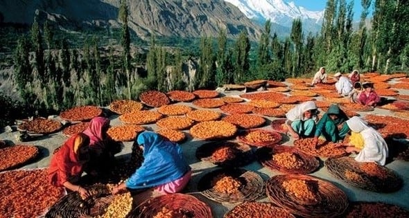 120 yıl yaşayan Hunza Türkleri'nin yaşam sırrı! 6