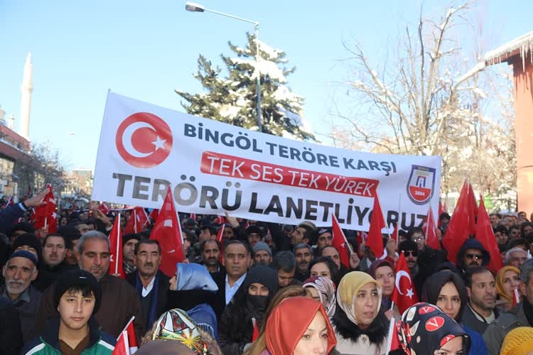 Bingöl, Van ve Mardin'de teröre lanet yürüyüşü 5