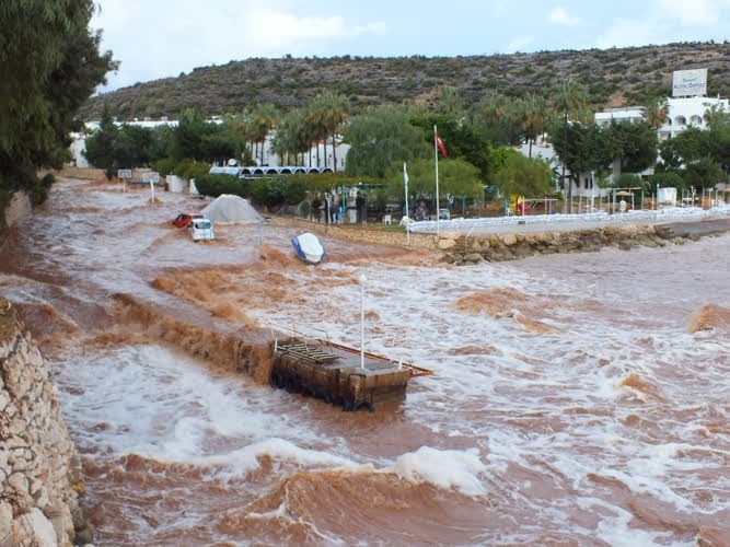 Silifke'de selde can pazarı 10