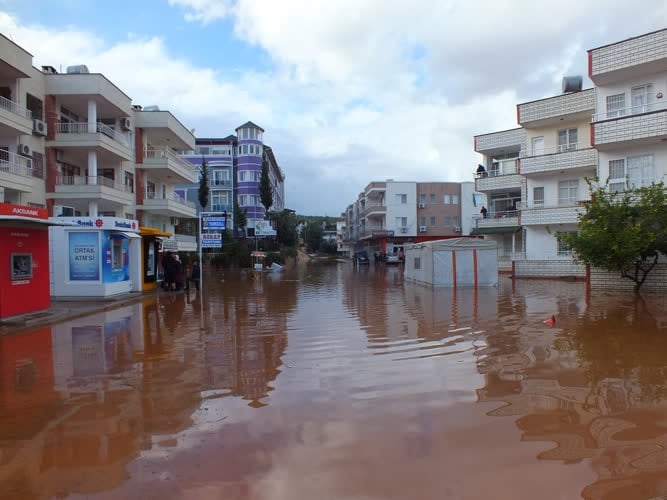 Silifke'de selde can pazarı 3