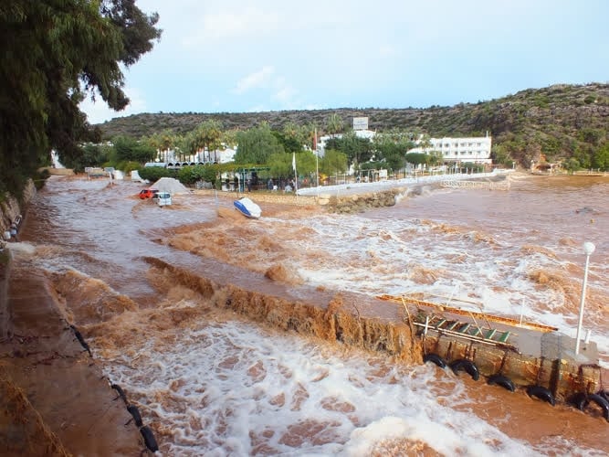 Silifke'de selde can pazarı 6