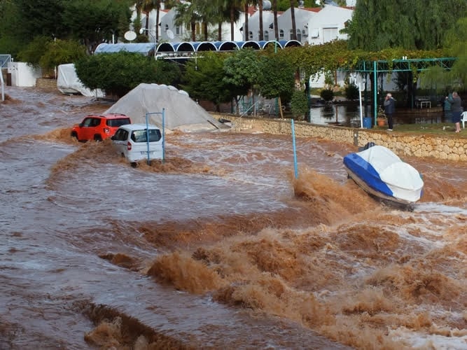 Silifke'de selde can pazarı 7