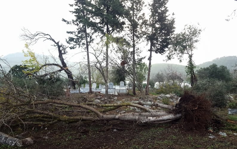 Antalya'yı hortum yıktı geçti 6