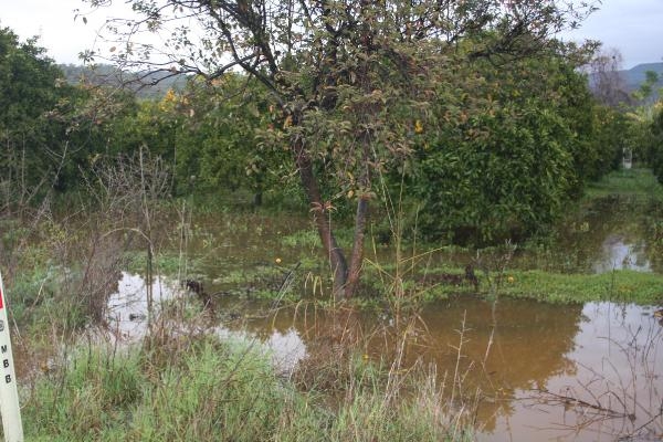 Şiddetli yağmur Fethiye'de baskınlara neden oldu 1