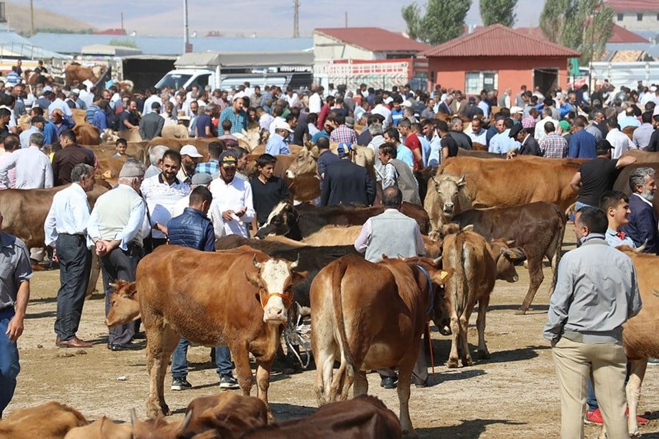 Kurban seçiminde nelere dikkat edilmeli? 15