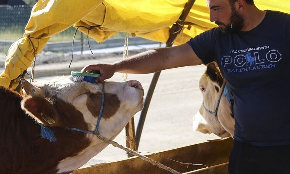 Kurban seçiminde nelere dikkat edilmeli? 6