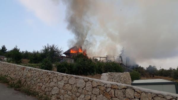 Kedi, yavruları için yanan binanın önünden ayrılmadı 1