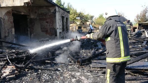 Kedi, yavruları için yanan binanın önünden ayrılmadı 2