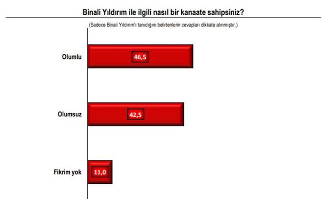 İşte İstanbul'un son anket sonuçları! 8