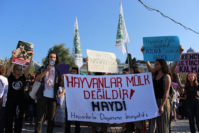 Büyükada'da 'fayton' protestosu 1