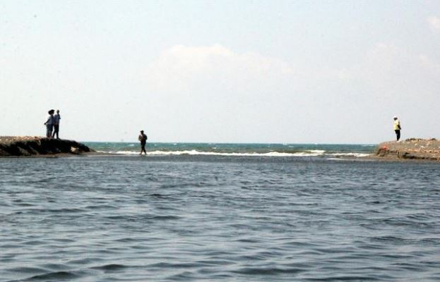 Hatay'da çok sayıda ölü balık bulundu 2