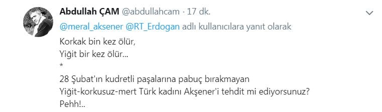 Erdoğan'ın Akşener çıkışına vatandaştan tepki! 4