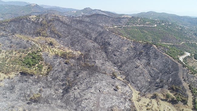 Karabağlar'daki yangından geriye kapkara bir tablo kaldı 11