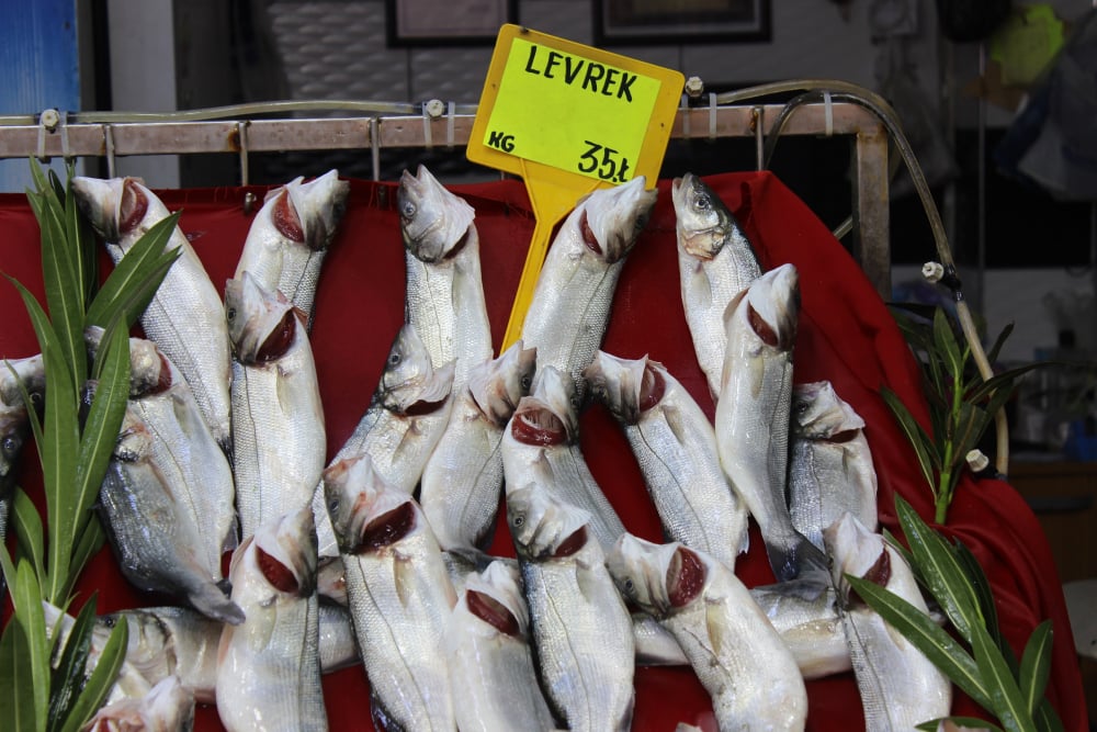 Balık fiyatları ne kadar oldu? Güncel balık fiyatları 7