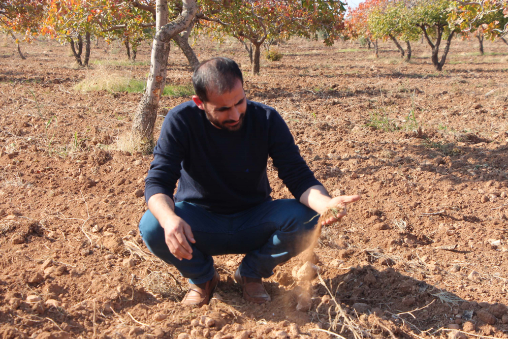 Mevsimlik işçiyken İngiltere’de patron oldu 9