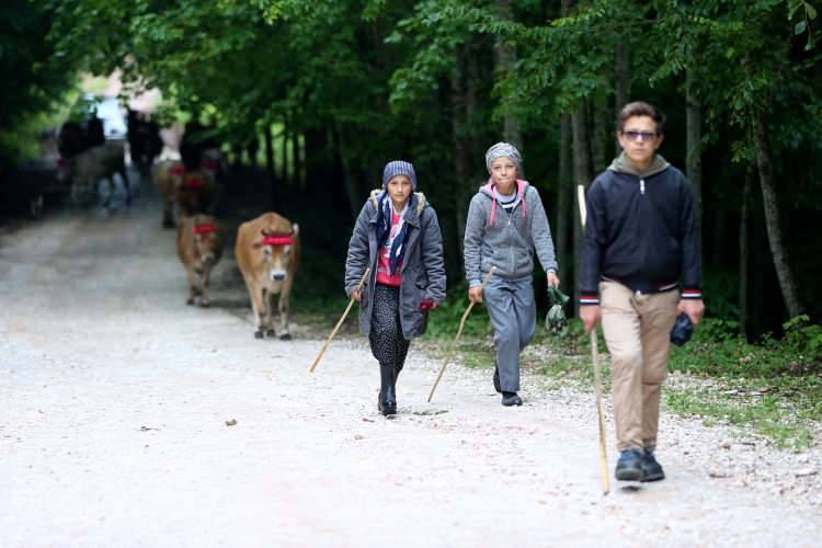 113 yıllık yolculuk: Korona önlemleriyle başladı 3