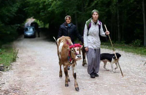 113 yıllık yolculuk: Korona önlemleriyle başladı 5