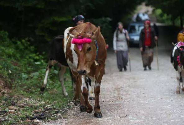 113 yıllık yolculuk: Korona önlemleriyle başladı 6