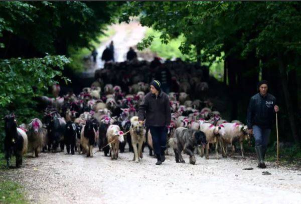 113 yıllık yolculuk: Korona önlemleriyle başladı 7