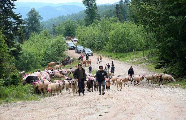 113 yıllık yolculuk: Korona önlemleriyle başladı 9