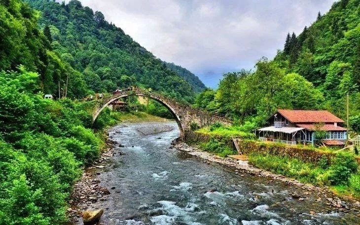 Herkes kendi memleketinde yaşasaydı illerin nüfusu nasıl olurdu? 61