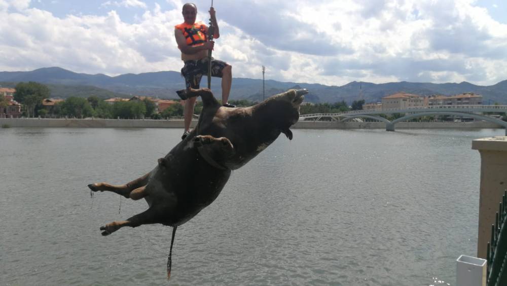 Kızılırmak Nehri'nden böyle kurtarıldı 2